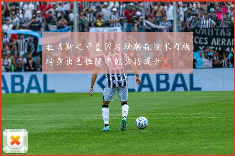 杜马斯之子奎因与杨瀚森技术内线转身出色但防守能力待提升